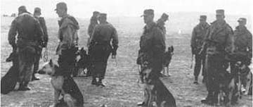wardogs_dogtrainingctr_1953 26th infantry scout dog
